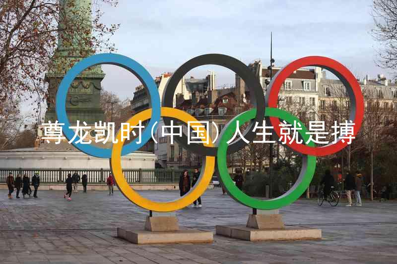 尊龙凯时(中国)人生就是搏