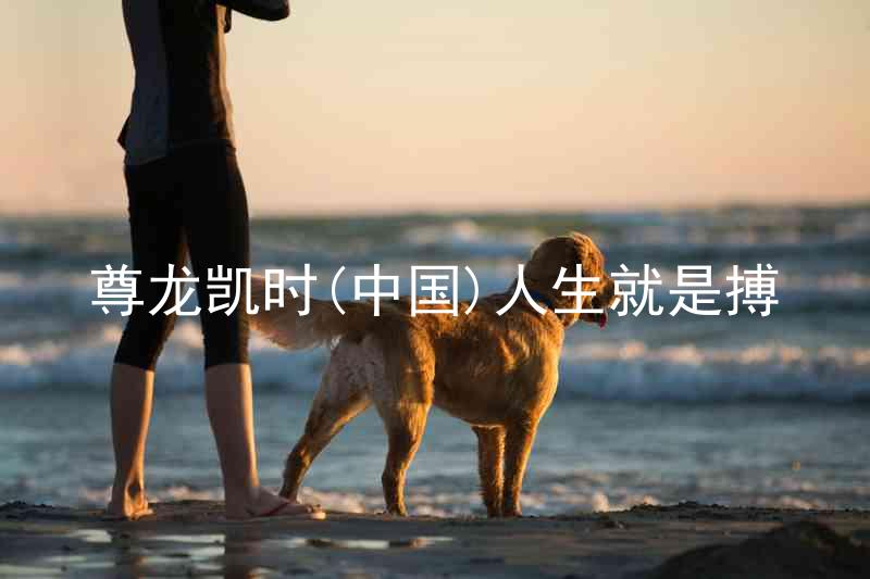 尊龙凯时(中国)人生就是搏