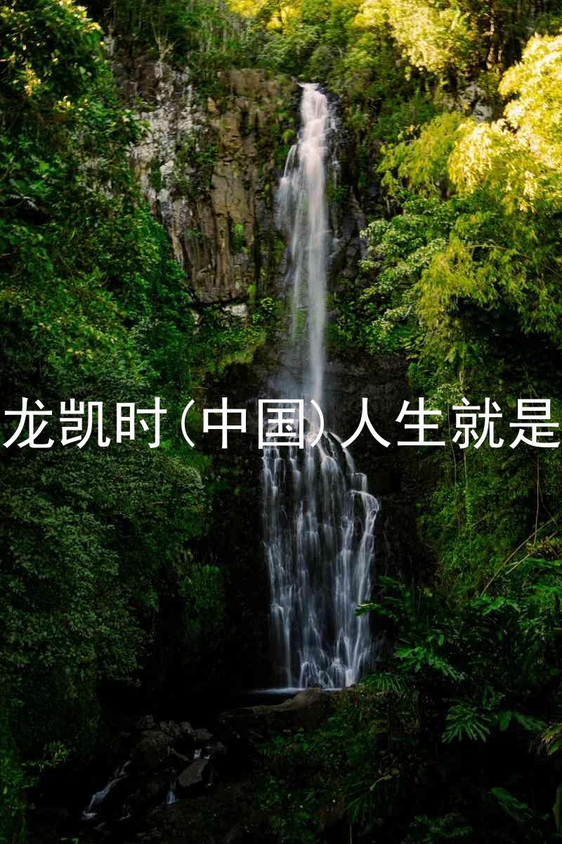 尊龙凯时(中国)人生就是搏