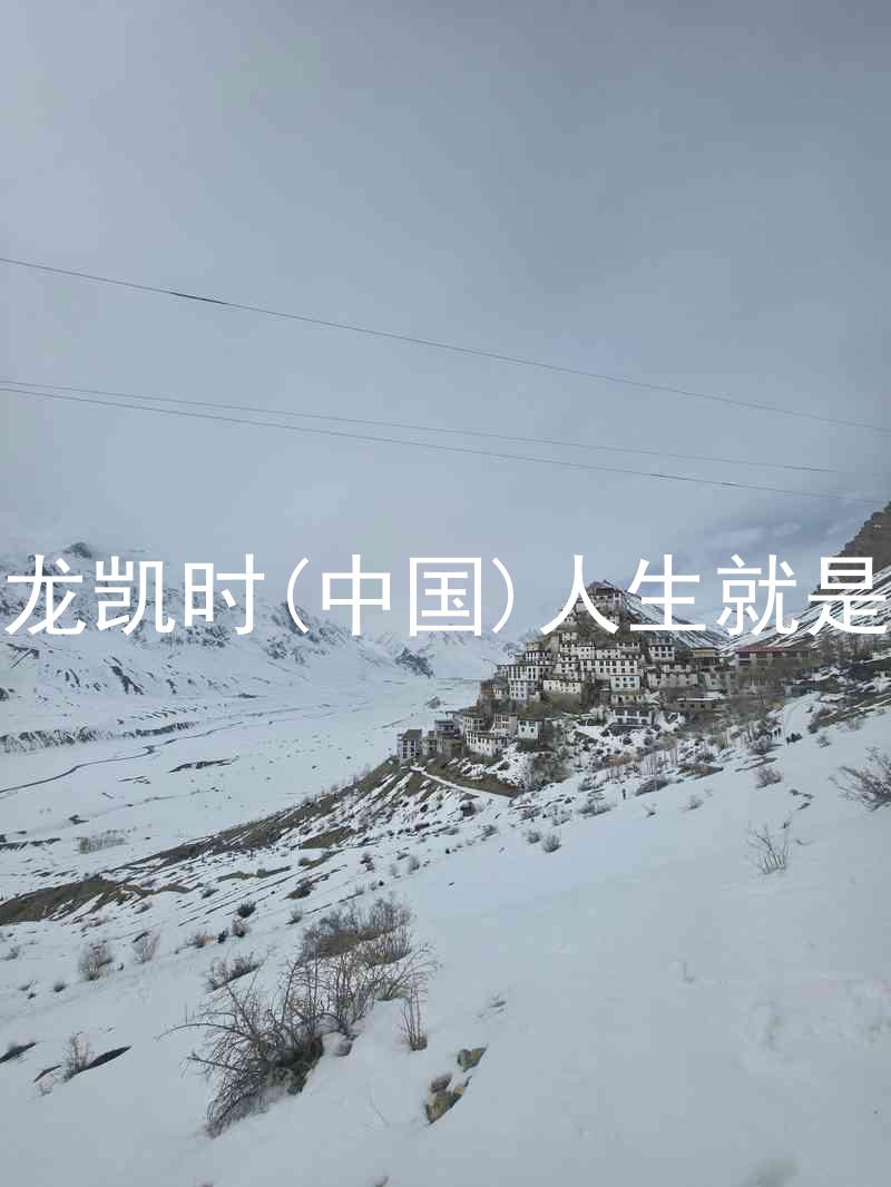 尊龙凯时(中国)人生就是搏