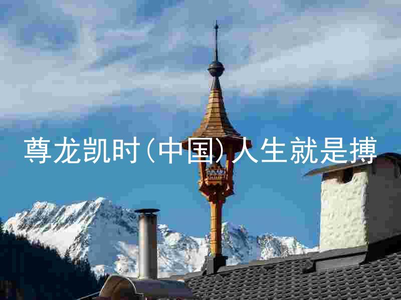 尊龙凯时(中国)人生就是搏